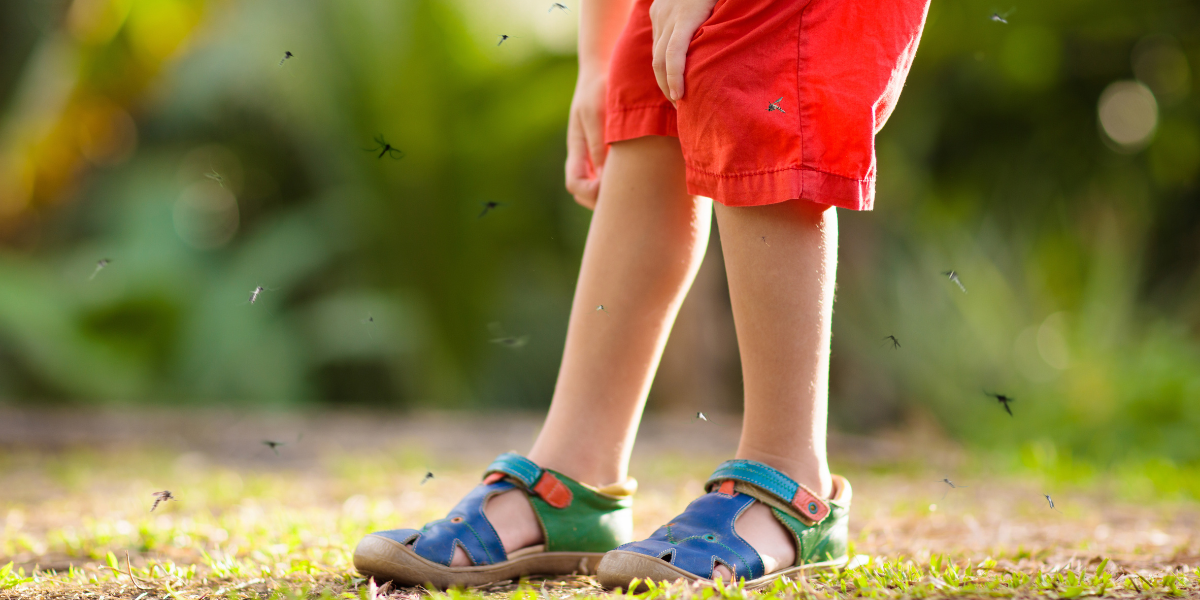 A kid itching his legs as mosquitos fly around him