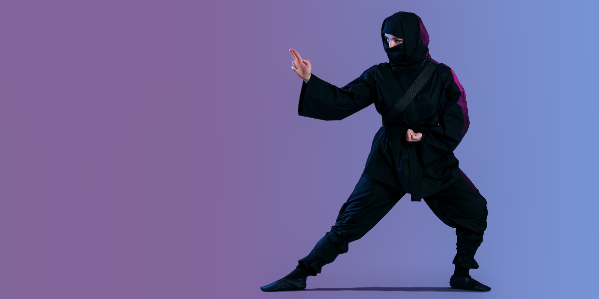 A ninja ready to fight